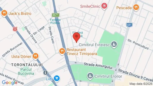 Apartments for rent i Timişoara - kort over placeringen
