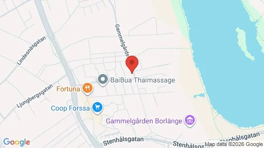 Apartments for rent i Borlänge - kort over placeringen
