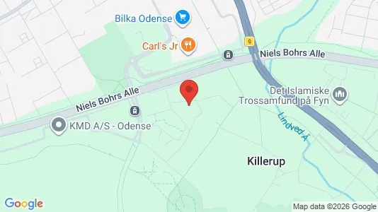 Apartments for rent i Odense M - kort over placeringen