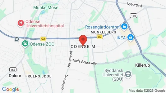 Apartments for rent i Odense M - kort over placeringen