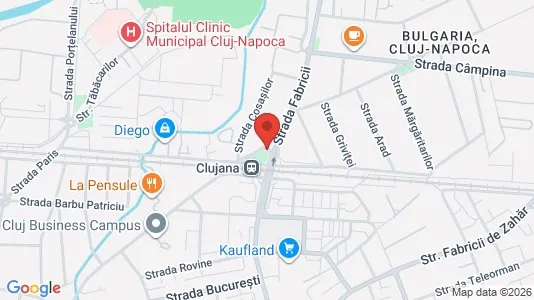 Apartments for rent i Cluj-Napoca - kort over placeringen