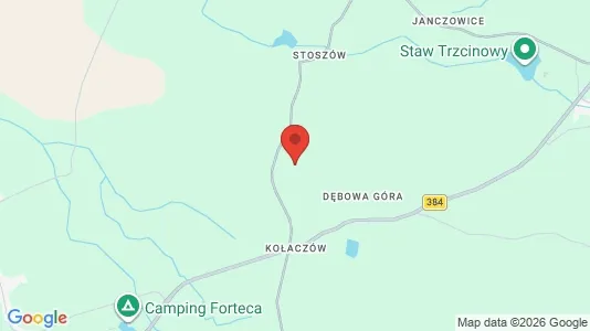 Apartments for rent i Dzierżoniowski - kort over placeringen