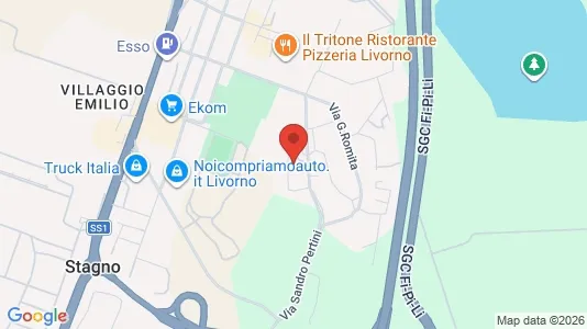 Apartments for rent i Collesalvetti - kort over placeringen