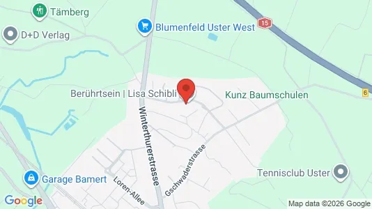 Apartments for rent i Uster - kort over placeringen
