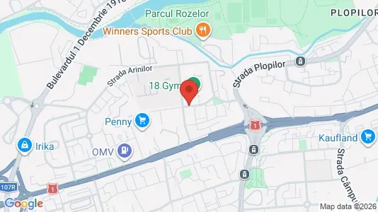 Apartments for rent i Cluj-Napoca - kort over placeringen