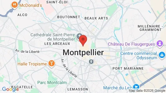 Houses for rent i Montpellier - kort over placeringen