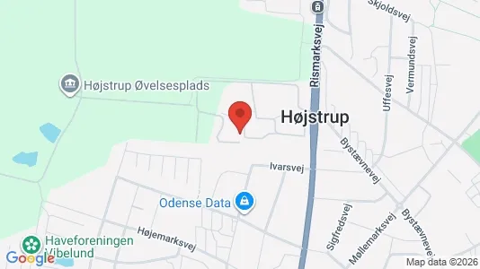 Apartments for rent i Odense V - kort over placeringen