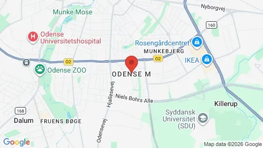 Apartments for rent i Odense M - kort over placeringen