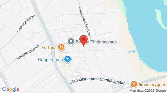 Apartments for rent i Borlänge - kort over placeringen