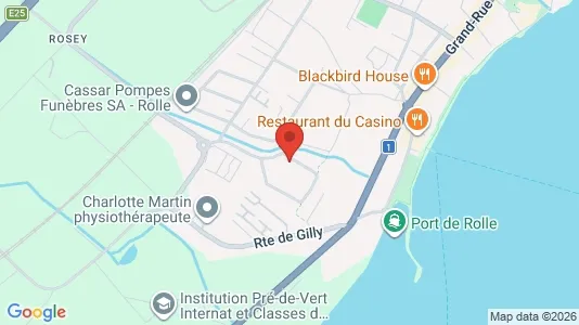 Apartments for rent i Nyon - kort over placeringen