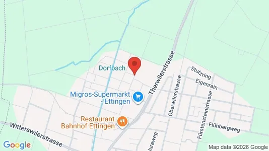 Apartments for rent i Arlesheim - kort over placeringen