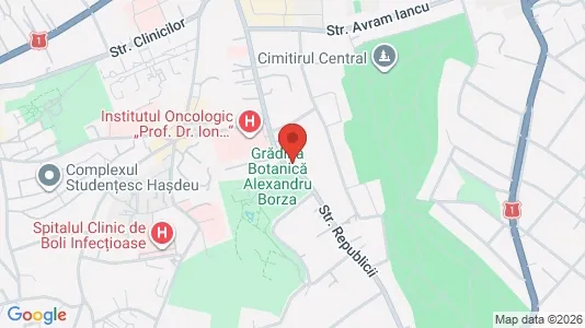 Apartments for rent i Cluj-Napoca - kort over placeringen