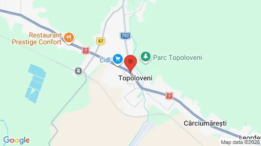 Apartments for rent i Topoloveni - kort over placeringen