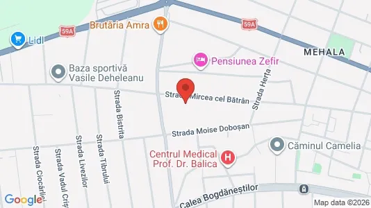 Apartments for rent i Timişoara - kort over placeringen