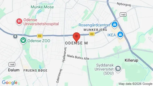 Houses for rent i Odense M - kort over placeringen