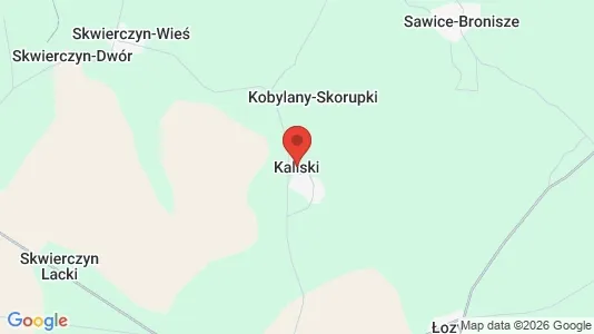 Houses for rent i Kaliski - kort over placeringen