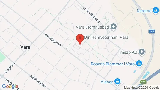 Apartments for rent i Vara - kort over placeringen