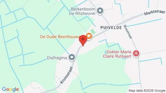 Apartments for rent i Sint-Niklaas - kort over placeringen
