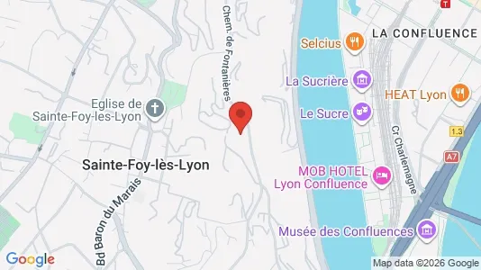 Apartments for rent i Lyon - kort over placeringen