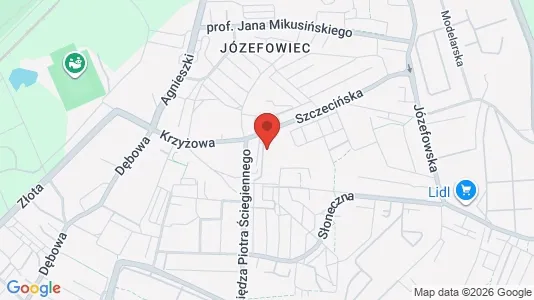 Apartments for rent i Katowice - kort over placeringen