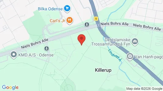 Apartments for rent i Odense M - kort over placeringen