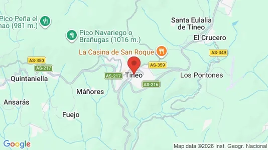 Apartments for rent i Tineo - kort over placeringen