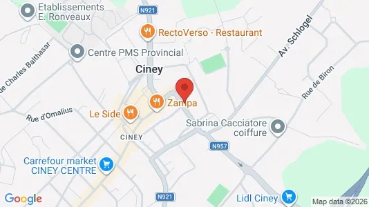Apartments for rent i Ciney - kort over placeringen