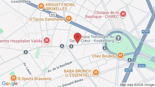 Apartments for rent i Brussels Sint-Agatha-Berchem - kort over placeringen