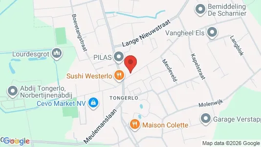 Apartments for rent i Westerlo - kort over placeringen
