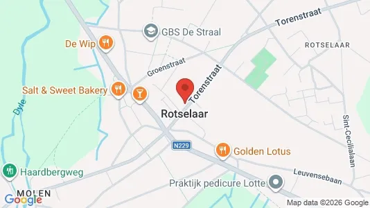 Apartments for rent i Rotselaar - kort over placeringen