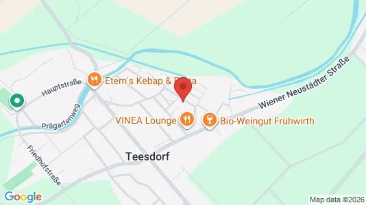 Apartments for rent i Teesdorf - kort over placeringen