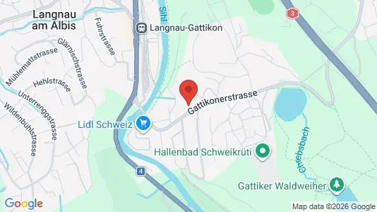 Apartments for rent i Horgen - kort over placeringen