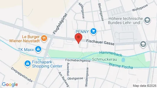 Apartments for rent i Bad Fischau-Brunn - kort over placeringen