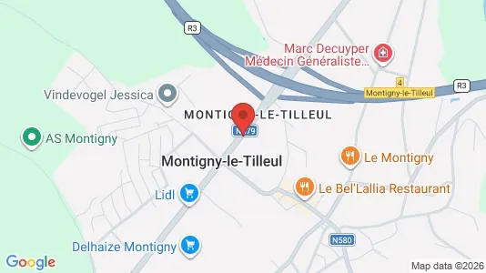 Apartments for rent i Montigny-le-Tilleul - kort over placeringen