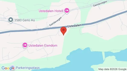 Apartments for rent i Hol - kort over placeringen