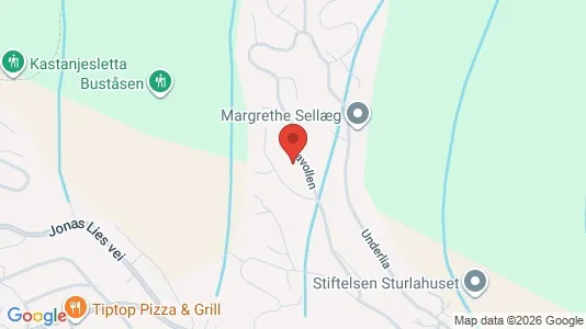 Rooms for rent i Drammen - kort over placeringen
