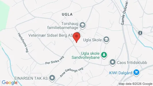 Apartments for rent i Trondheim Midtbyen - kort over placeringen