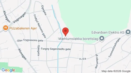 Apartments for rent i Hamar - kort over placeringen