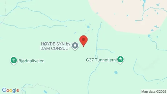 Houses for rent i Gol - kort over placeringen