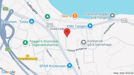 Apartments for rent i Drammen - kort over placeringen