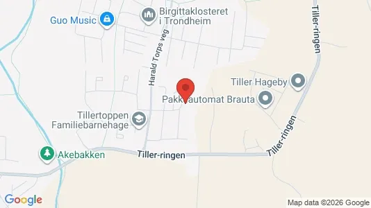 Apartments for rent i Trondheim Heimdal - kort over placeringen