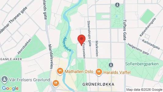 Apartments for rent i Oslo Grünerløkka - kort over placeringen