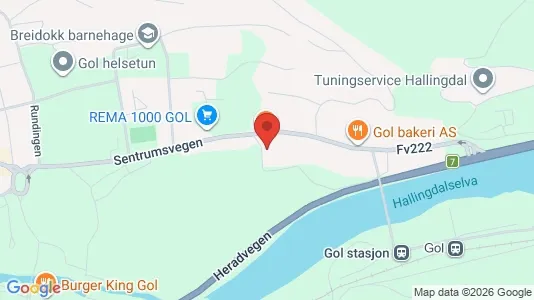 Apartments for rent i Gol - kort over placeringen