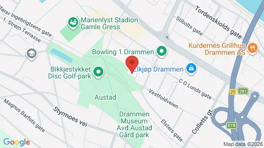 Apartments for rent i Drammen - kort over placeringen