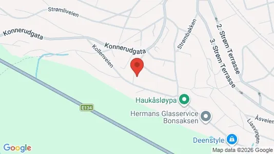 Apartments for rent i Drammen - kort over placeringen