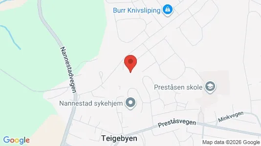 Apartments for rent i Nannestad - kort over placeringen