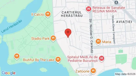 Apartments for rent i Voluntari - kort over placeringen
