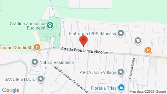 Apartments for rent i Voluntari - kort over placeringen