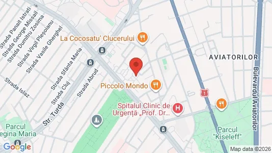 Apartments for rent i Bucharest - Sectorul 1 - kort over placeringen