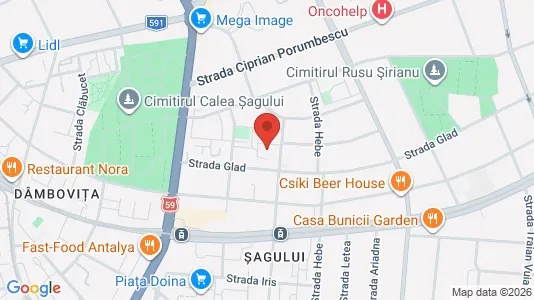 Apartments for rent i Timişoara - kort over placeringen